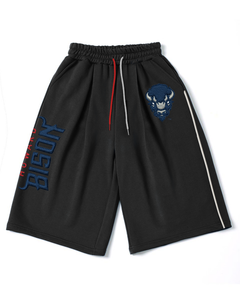 Howard Fleece Shorts Remix