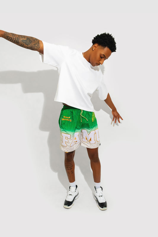 Buy HBCU Cozy & Stylish Shorts Online at 1921Movement