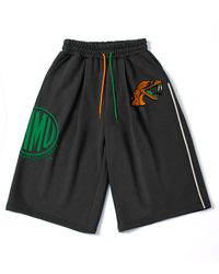FAMU Fleece Shorts Remix