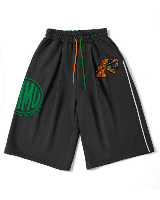 FAMU Fleece Shorts Remix