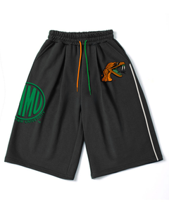 FAMU Fleece Shorts Remix