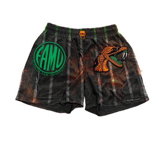 FAMU Galaxy Shorts