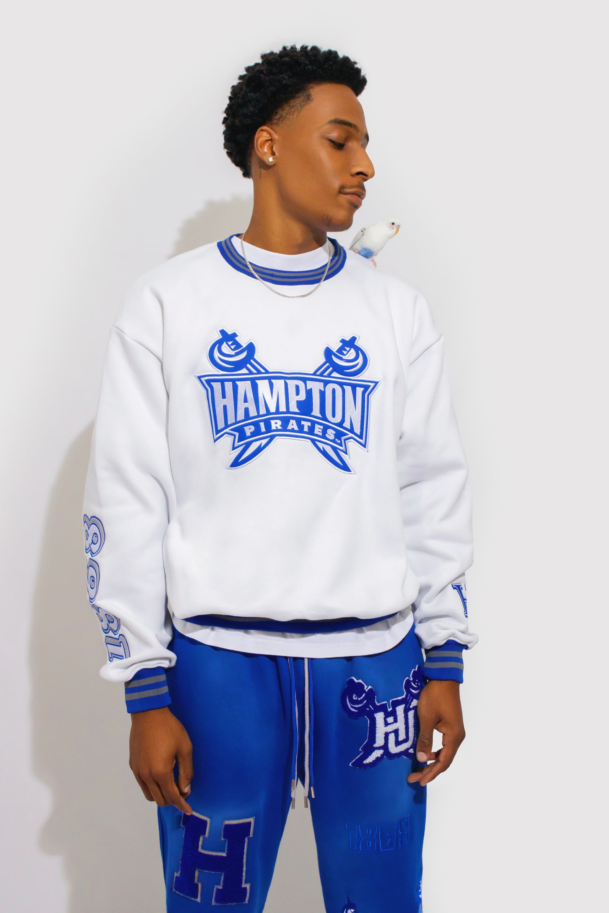 Hampton University Sweatshirt – 1921Movement