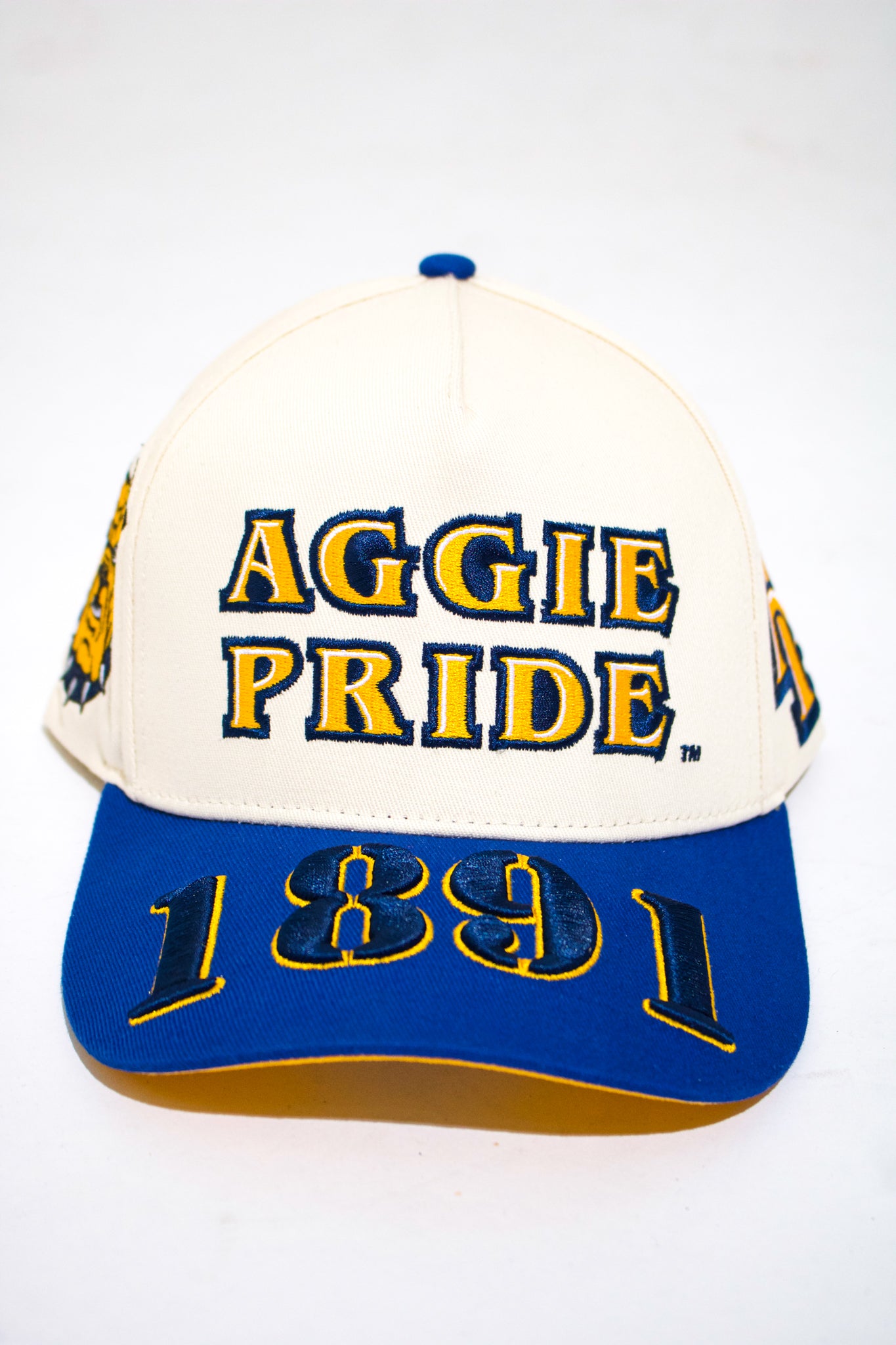 NCA&T Hat - Aggie Pride